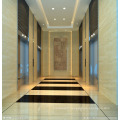 Residential / home / office / building / hotel Passenger Elevator